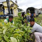 Entrega de plantas de cacao, ratifica el desarrollo sustentable para la comunidad Chachi
