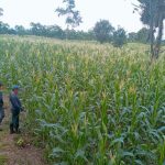 Prefectura de Esmeraldas fortalece la producción agrícola de comunidades Chachis.