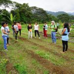 Proyecto de huertos familiares y gallinas de postura se implementará en la comunidad Chachi de Guayacana.