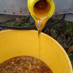 Segunda cosecha en Chucaple, arroja 120 kilos de miel aproximadamente.