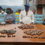 Prefectura continúa fortaleciendo conocimientos sobre el cacao en Valle del Sade.