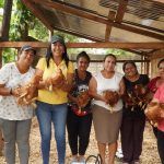 En Cristóbal colón, la Prefectura de Esmeraldas realizó la entrega de gallinas ponedoras.