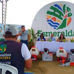 Prefectura de Esmeraldas trabaja en la reactivación de cultivos de coco.
