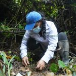 Prefectura continúa con la campaña de reforestación “Esmeraldas Yo Te Quiero Verde”.