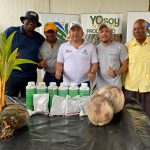 Prefectura de Esmeraldas trabaja en beneficio de los  productores de cocos en La Tolita Pampa de Oro.