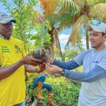 Prefectura de Esmeraldas fortalece la producción de coco en la zona norte.