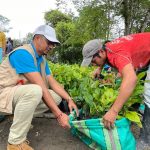 Prefectura fortalece la producción agrícola con la donación de 9 mil plantas de cacao.