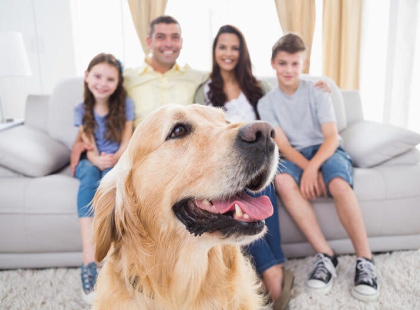 estas-son-las-razones-por-las-que-tu-familia-deberia-tener-un-perro6