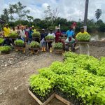 Prefectura de Esmeraldas entregó 10 mil plantas de especies forestales en Santo Domingo de Ónzole