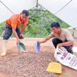Productores de cacao intercambian experiencias