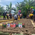 Prefectura de Esmeraldas diversifica dieta alimentaria en parroquia Vuelta Larga