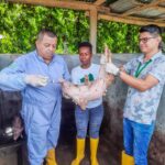 Prefectura brinda asistencia médica a cada proyecto pecuario que se lleva adelante en Esmeraldas.
