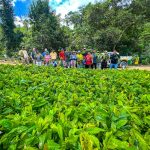 Prefectura de Esmeraldas reactiva la economía de comunidades rurales con la entrega de plantas de cacao.