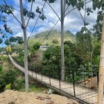 Puente peatonal colgante en la perla para mejorar conectividad y seguridad.