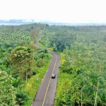 Prefectura de Esmeraldas inaugura la vía “Y” de Santa Ana - Corremono – Nuevo Azuay.