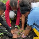 Prefectura de Esmeraldas realiza campaña de reforestación en la parroquia Chumundé.