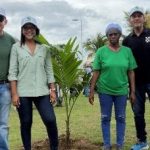 SEMBRATÓN 2026 DEVUELVE VIDA AL MALECÓN DE LAS PALMAS CON LA SIEMBRA DE 100 PALMERAS
