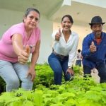 SEMBRAMOS OPORTUNIDADES: 10.000 PLANTAS PARA REFORESTAR CARLOS CONCHA